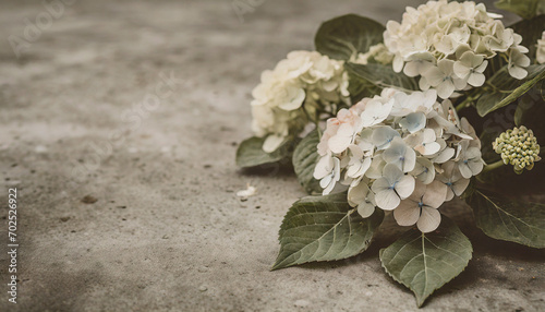 Hydrangeas on a concrete table