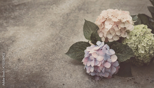 Hydrangeas on a concrete table