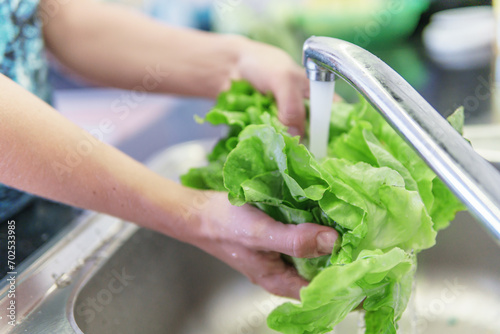 Woman hands washing fresh green iceberg lettuce in kitchen photo
