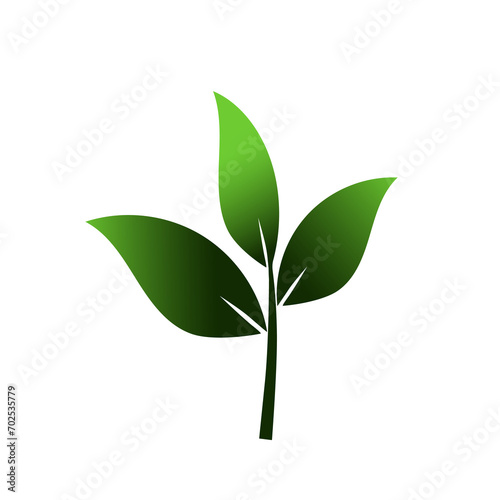 Illustration of green leaf shoots. Green leaf for logo. Logo with three leaves