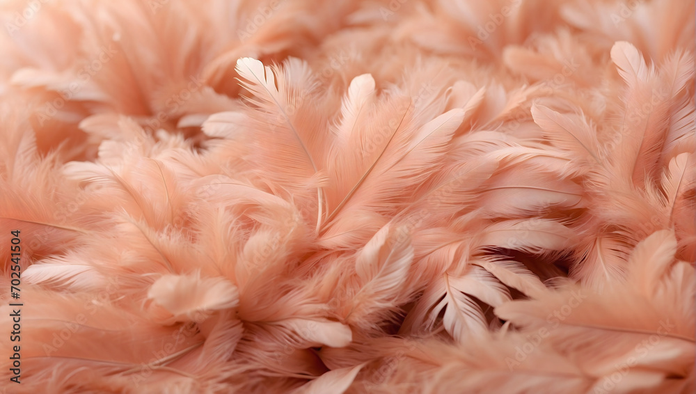 Full of feathers, Monochrome peach fuzz background, Smooth and beautiful feathers