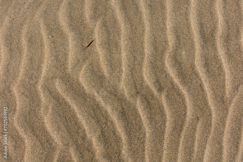 sand ripples on the beach © sangwon