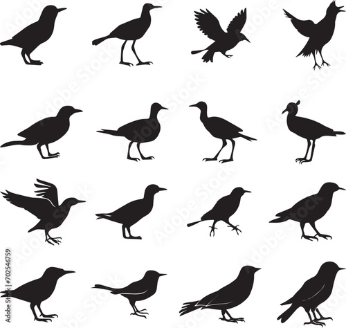 Bird s black silhouettes set. bird silhouettes on white background