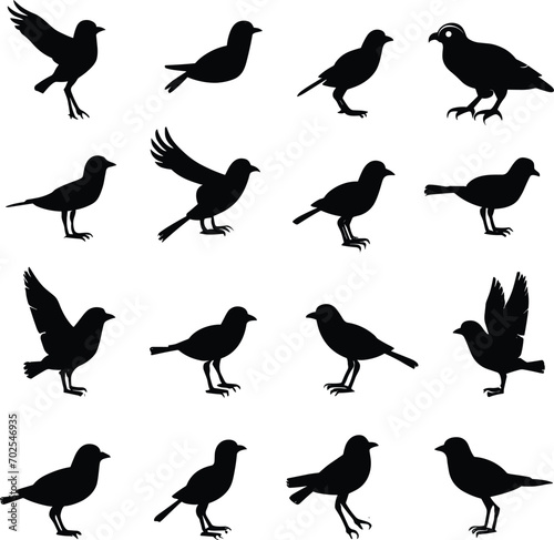 Bird s black silhouettes set. bird silhouettes on white background