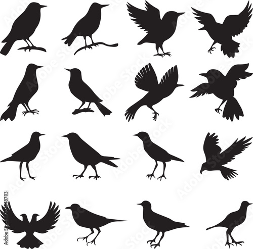 Bird s black silhouettes set. bird silhouettes. isolated on white background