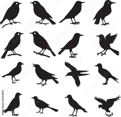 Bird s black silhouettes set. bird silhouettes. isolated on white background