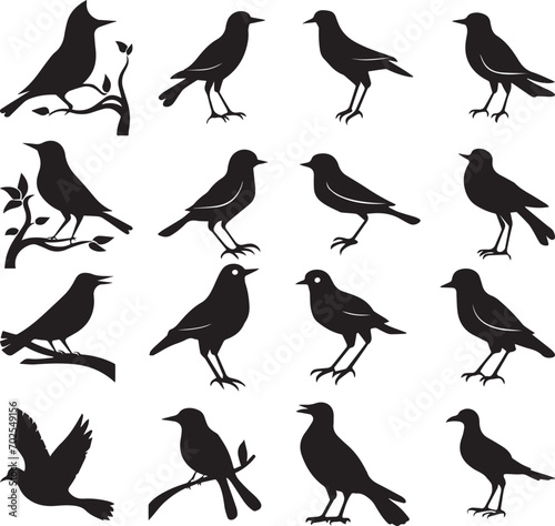 Bird s black silhouettes set. bird silhouettes. isolated on white background