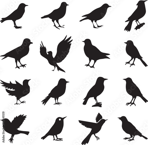 Bird's black silhouettes set. bird silhouettes. isolated on white background