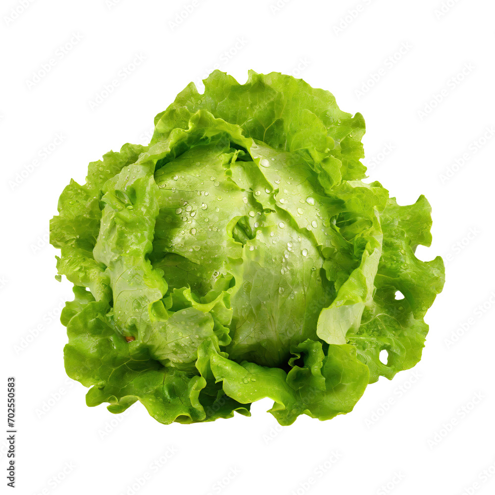 A Fresh And Crunchy Lettuce With Water Drops, Without Shadow, Blank White Isolated Background A Fresh And Crunchy Lettuce With Water Drops, Without Shadow, Blank White Isolated Background