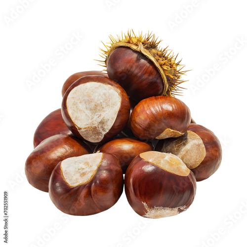 Bunch Of Brown Chestnut With A Spiky Shell, Blank Isolated Background