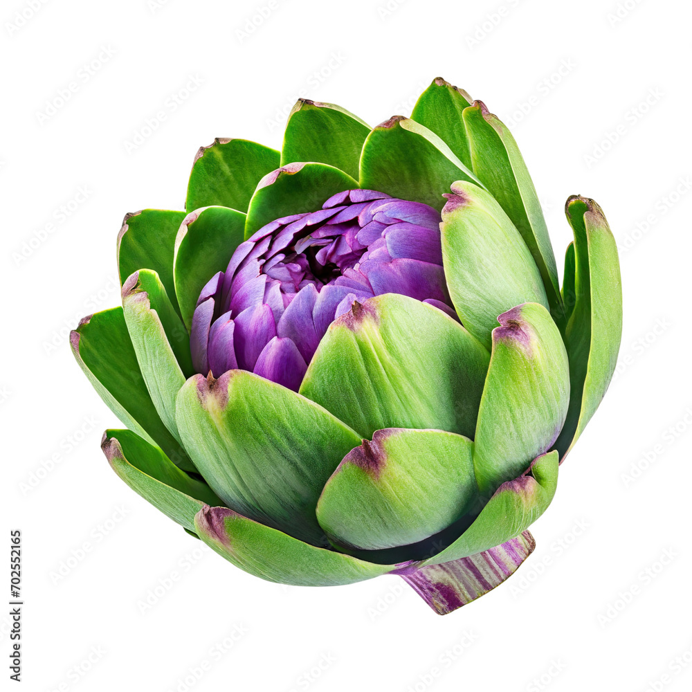 Fototapeta premium Floating Green Artichoke With A Purple Center