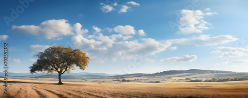 A lone tree stands in a field of tall grass. The sky is clear and blue, with a few clouds scattered throughout. Peaceful and serene, with the tree providing a sense of calm