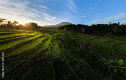 Beautiful terrace of Union Field in Argapura, Majalengka, West Java, Indonesia.  photo