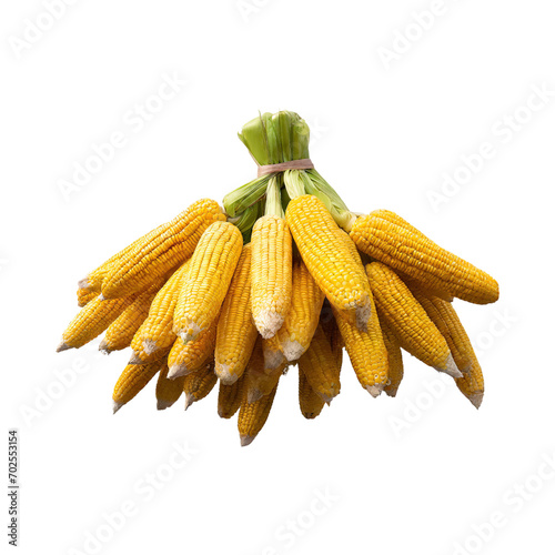 Floating Bunch Of Yellow Corn With Green Skin, Isolated Background