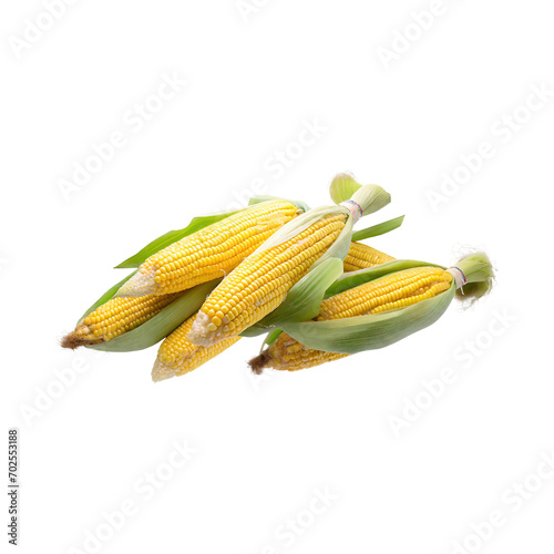 Floating Bunch Of Yellow Corn With Green Skin, Isolated Background