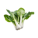 Green And White Bok Choy With Sliced Bok Choy, Isolated Transparent Background