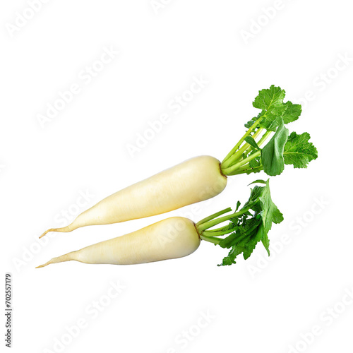 Floating Of White Daikon With A Mild Flavor, Without Shadow, Isolated Transparent Background