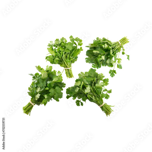 Bunches Of Dried Green Coriander Leaves, Without Shadow, Isolated Transparent Background