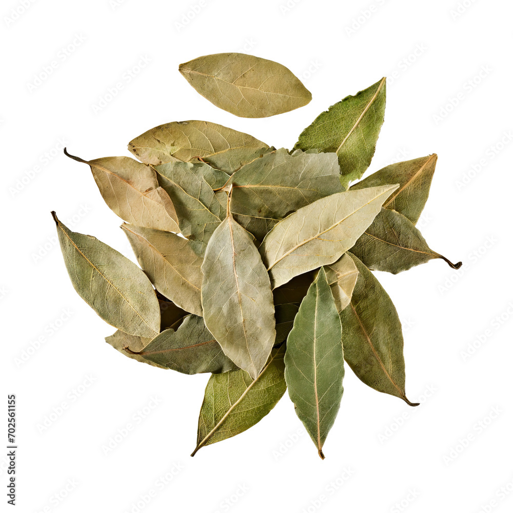 Floating Of Bunch Dried Bay Leaf , Without Shadow, Isolated Transparent Background Floating Of Bunch Dried Bay Leaf , Without Shadow, Isolated Transparent Background