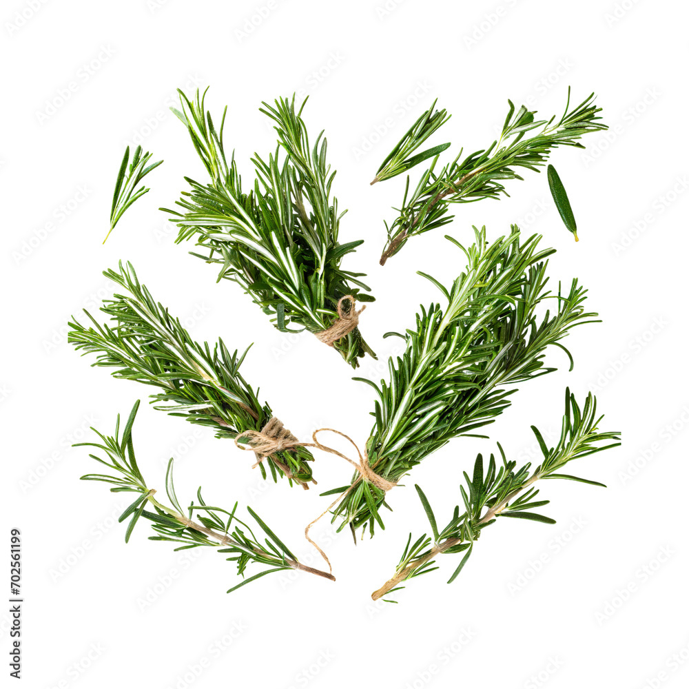 Floating Of Bunches Rosemary, Without Shadow, Isolated Transparent Background