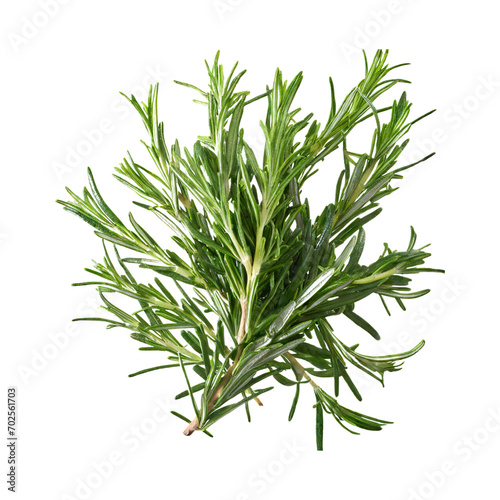 Floating Of Rosemary, Without Shadow, Isolated Transparent Background