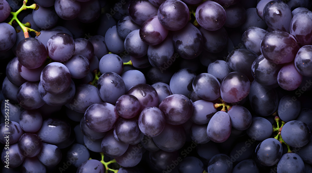 Top View of Fresh Organic Sweet Purple Grapes: Background and Texture of Juicy Grapes Top View of Fresh Organic Sweet Purple Grapes: Background and Texture of Juicy Grapes