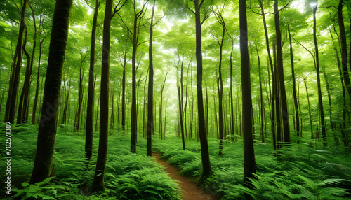 Lush Green Forests  Explore dense and vibrant forests  emphasizing nature and biodiversity.
