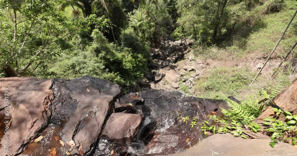 Scenic views of Cameron falls in Tamborine National Park in Queensland, Australia