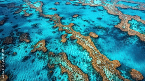 Aerial view of coral reef with blue water. Top view.