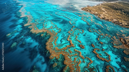 Aerial view of coral reef with turquoise sea water. Seascape with coral reef. Top view.