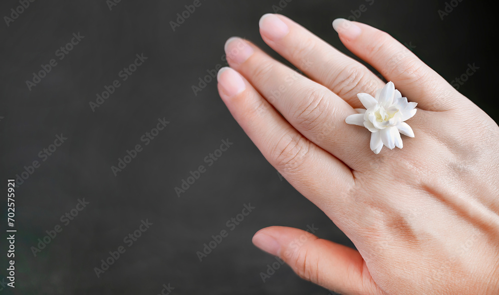 A single white jasmine or Arabian jasmine on a female hand in dark background with copy space for text or advertising, banner, business concept A single white jasmine or Arabian jasmine on a female hand in dark background with copy space for text or advertising, banner, business concept