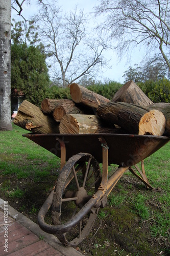 Pieces of tree trunks in wheelbarrow in the field.