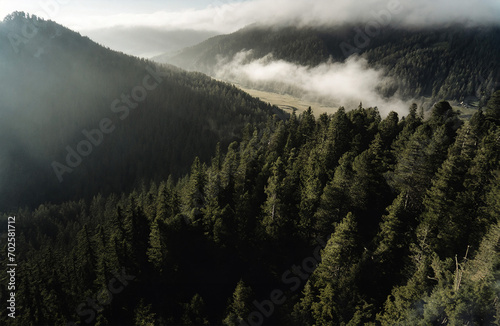 fog over the mountains © Robert Kiyosaki