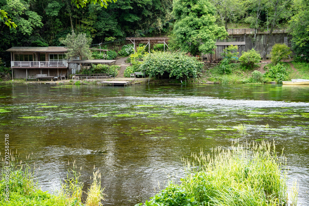 柿田川湧水公園