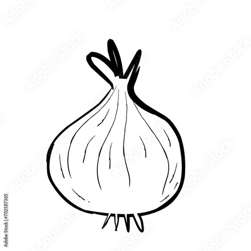 Red onion outline 