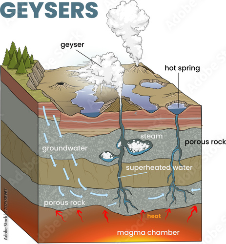 illustration of cell structure infographic