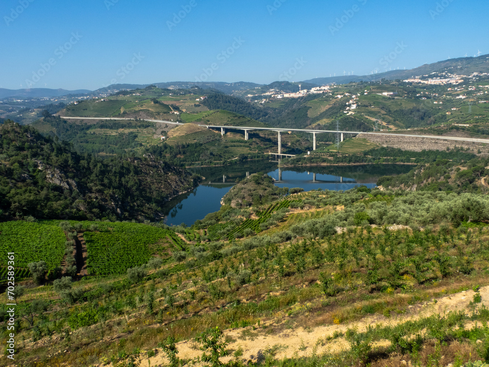 View of the Varosa dam reservoir surrounded by vineyards and behind a viaduct. Lamego, Portugal.