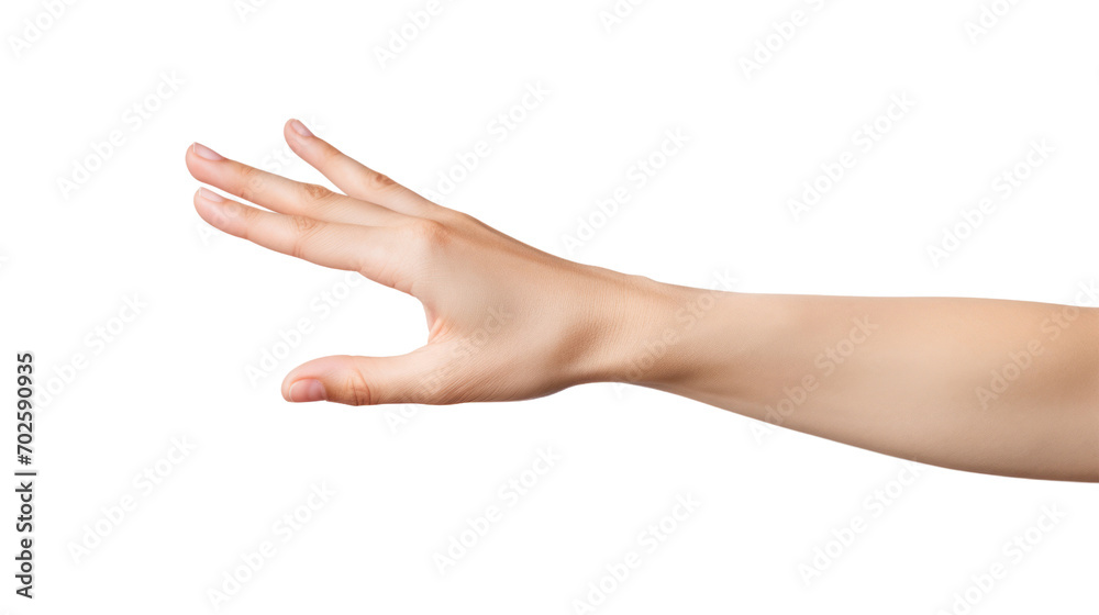 Close-up beautiful woman's hand isolated on white background Close-up beautiful woman's hand isolated on white background