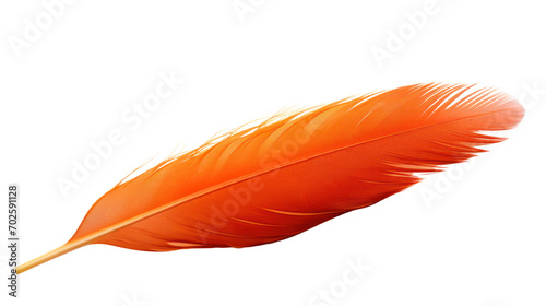 Beautiful orange bird feather isolated on white 