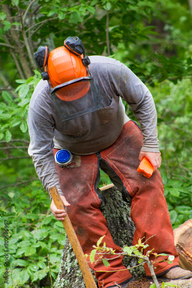 Obraz premium Sustainable logging in Russell Springs Kentucky