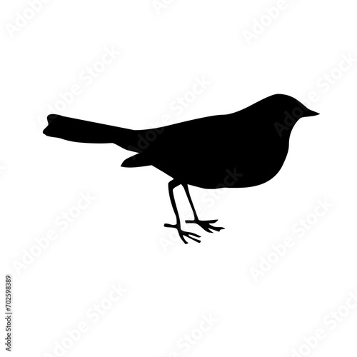 Photography silhouette of a bird