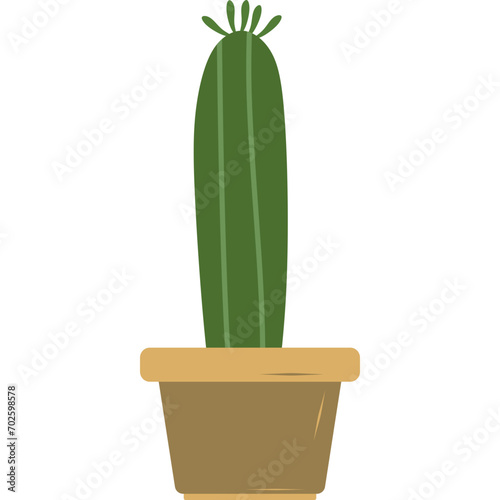 Potted Cactus Plant