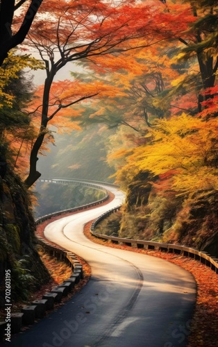 Photograph of a winding mountain road in Japan