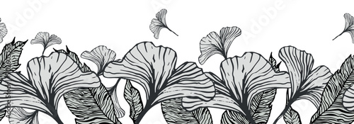 Leaves. Vector illustration highlighted on a white background. For nature, eco and design. Hand-drawn plants, a frame for a postcard.