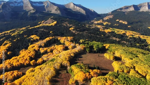 Stunning bright sunny sunrise morning autumn Aspen Tree fall golden yellow colors Kebler Pass aerial cinematic drone Crested Butte Gunnison Colorado Rocky Mountains  landscape slowly forward up reveal photo