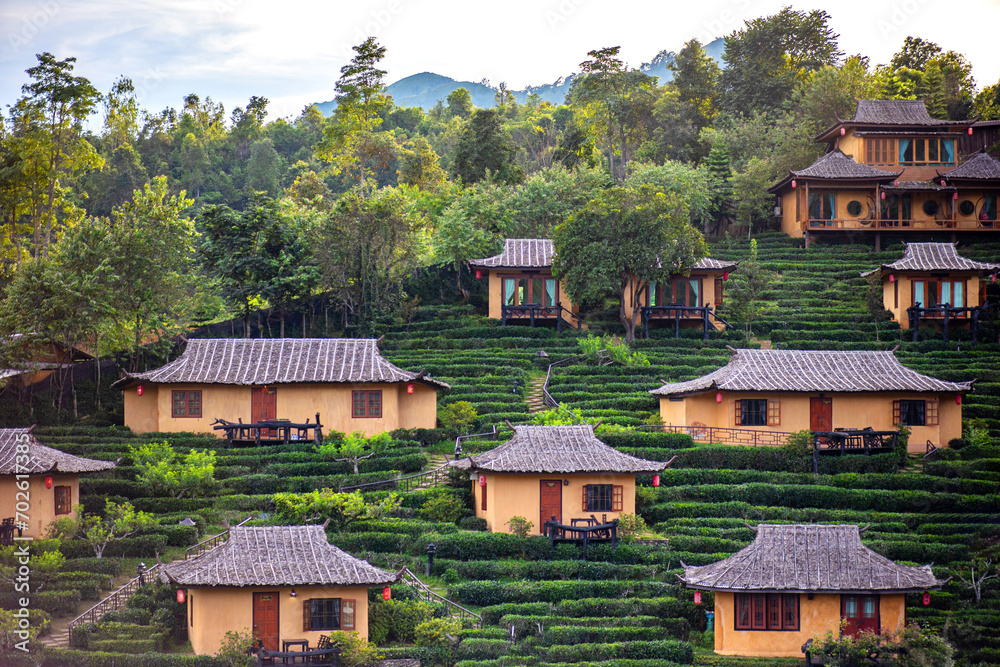 Ban Rak Thai, Mae Hong Son resort in green tea plantation on the hill ...