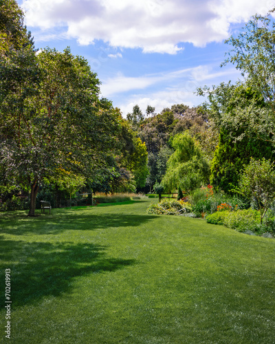 garden view in summer
