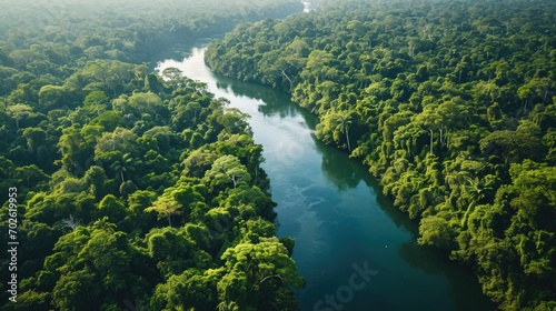 Cinematic, Aerial Photography, dense Amazon Rainforest, tropical wet climate, rich greens of the canopy, winding rivers, biodiversity hotspot. photo