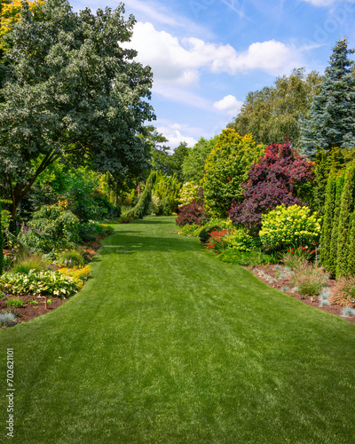 garden view in summer