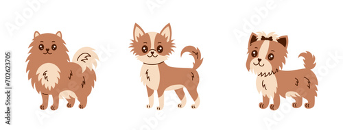 Fototapeta Naklejka Na Ścianę i Meble -  Small dog breeds vector set. Hand drawn collection of happy smiling puppies. Illustration of Spitz, Chihuahua, Yorkshire Terries in flat style. Pet characters design.